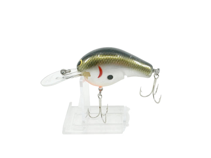 Bagley Diving B2 DB2 - Shad Color
