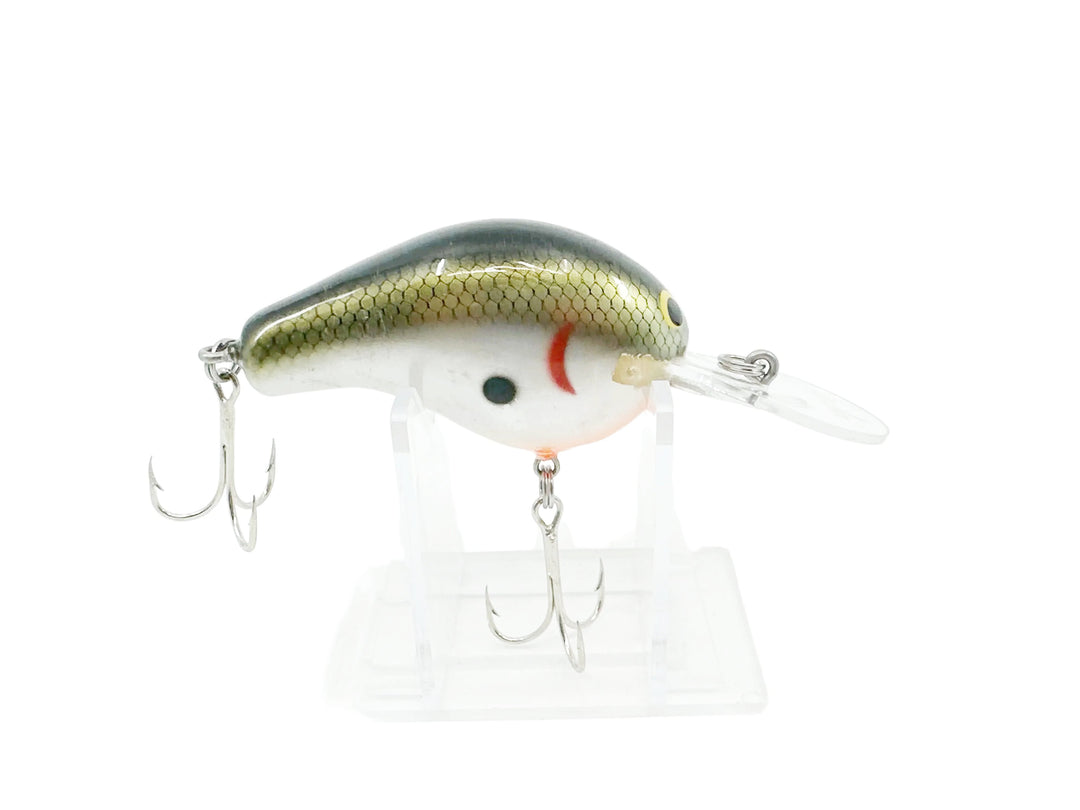 Bagley Diving B2 DB2 - Shad Color