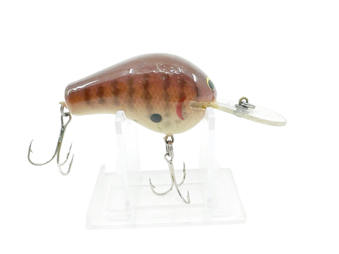 Bagley Diving #2 DB2 DC, Dark CrayFish Color