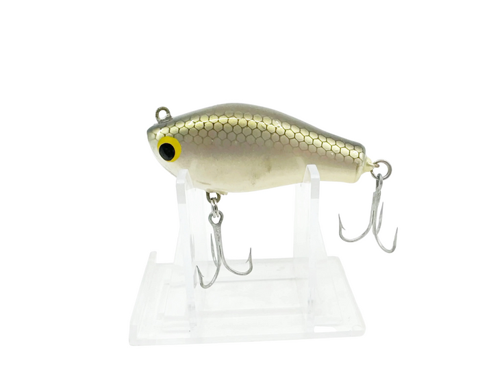 Bagley Pinfish Shiner, Tennessee Shad Color