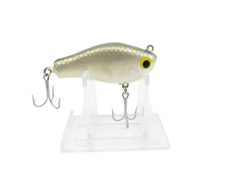 Bagley Pinfish Shiner, Tennessee Shad Color
