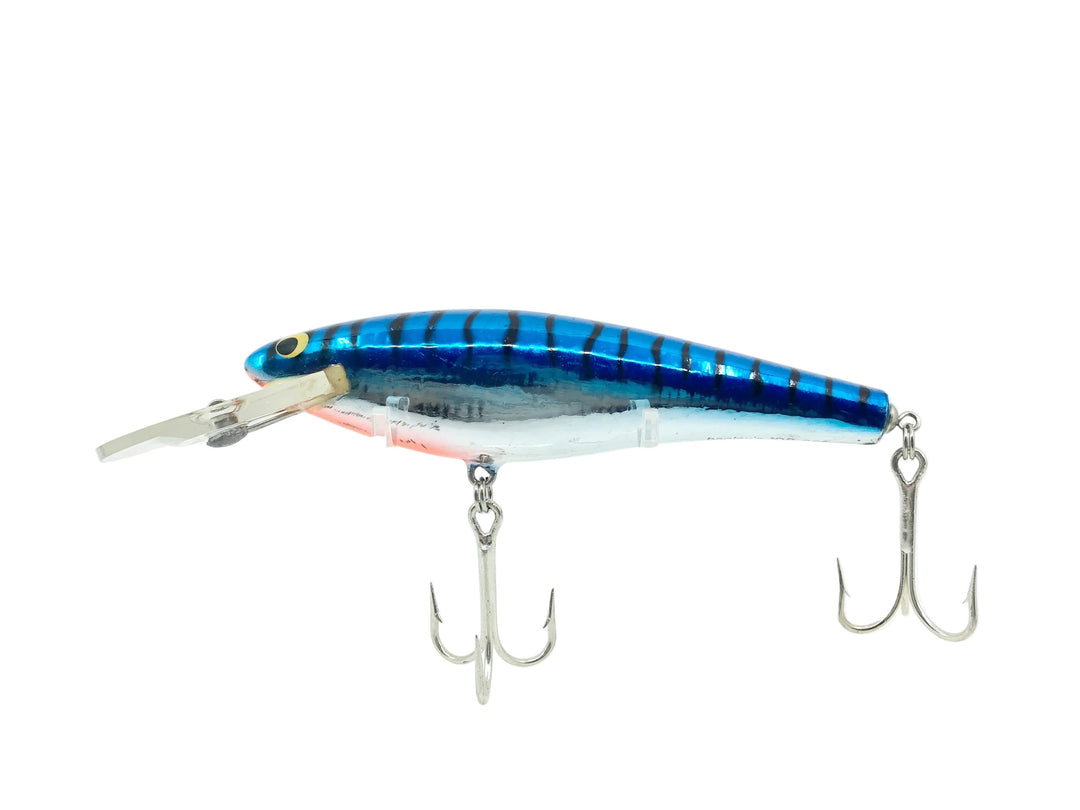 Bagley DB06, H7S Hot Blue on Silver Color, Winter Haven Bait