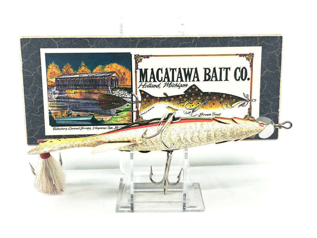 Macatawa Bait Co. Dace w/Box