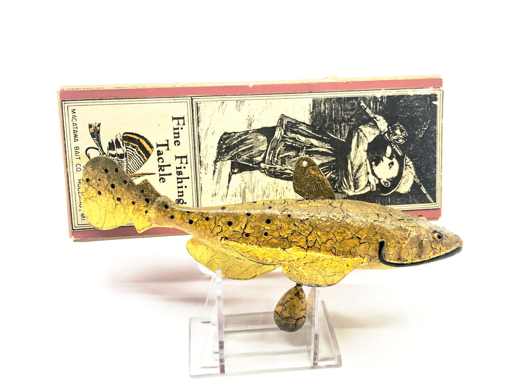 Macatawa Bait Co. Early Flathead Catfish Decoy w/Box - Signed, 1986