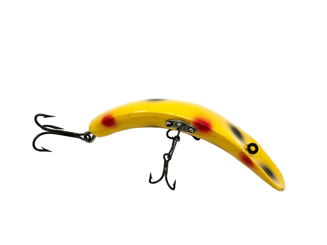 Paw Paw Flapjack, Yellow Dots Color