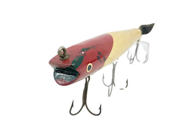 Eger Darter, Red Head/White Color