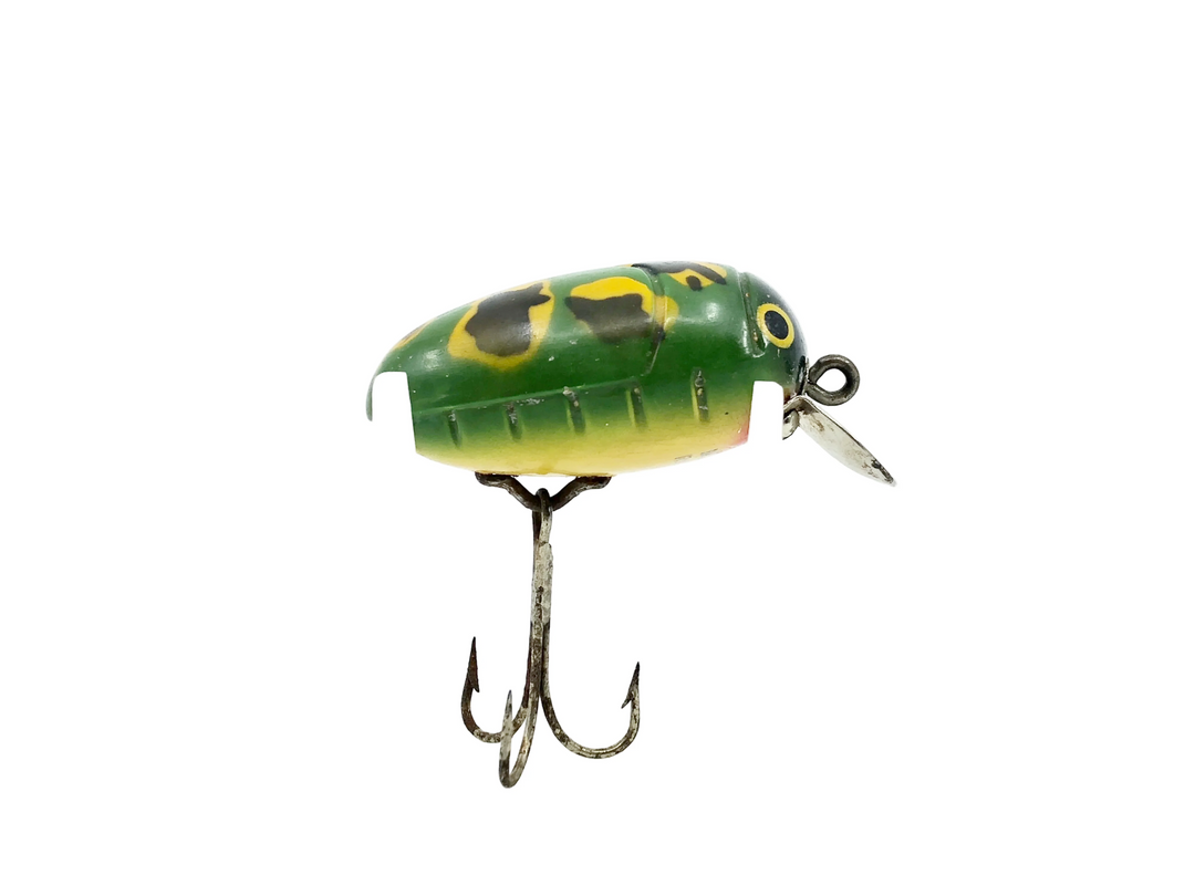 Millsite Rattle Bug, Frog Color