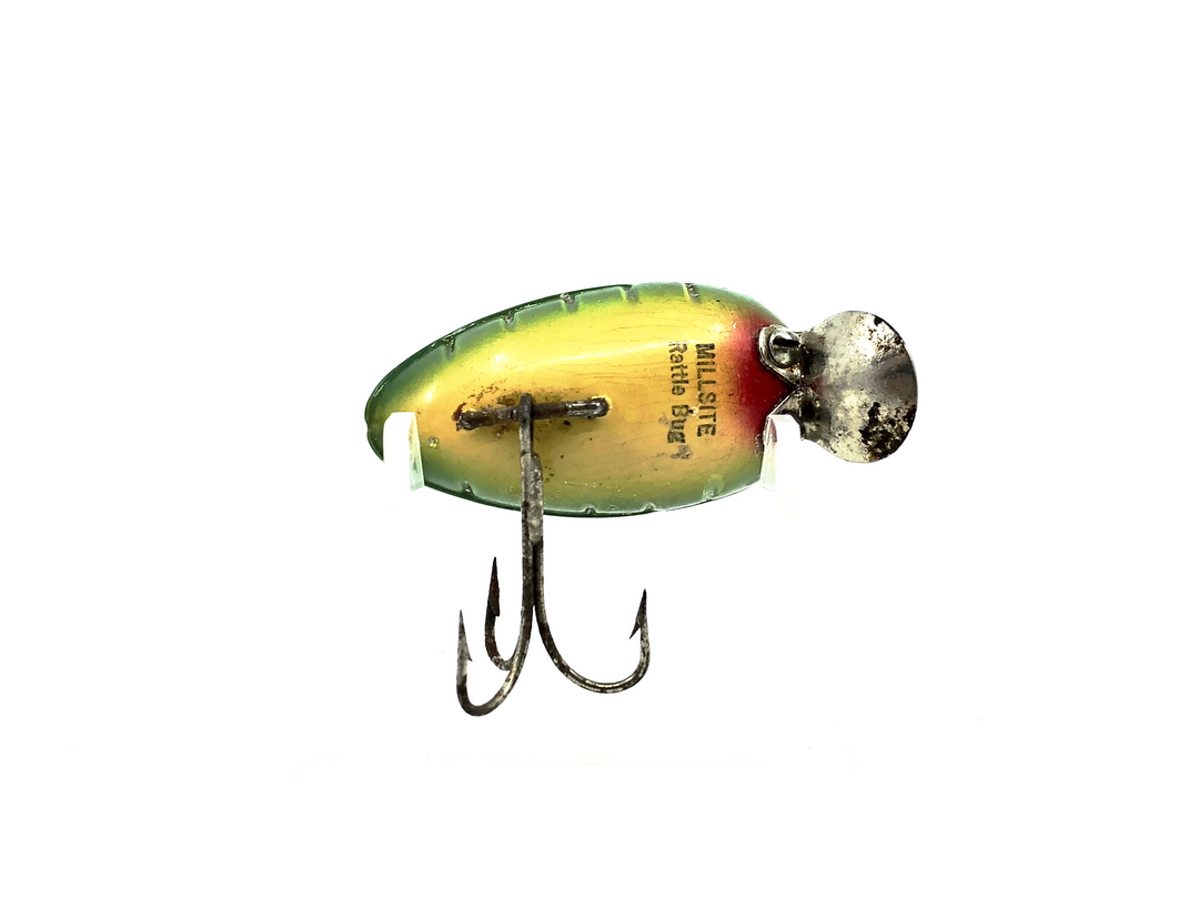 Millsite Rattle Bug, Frog Color