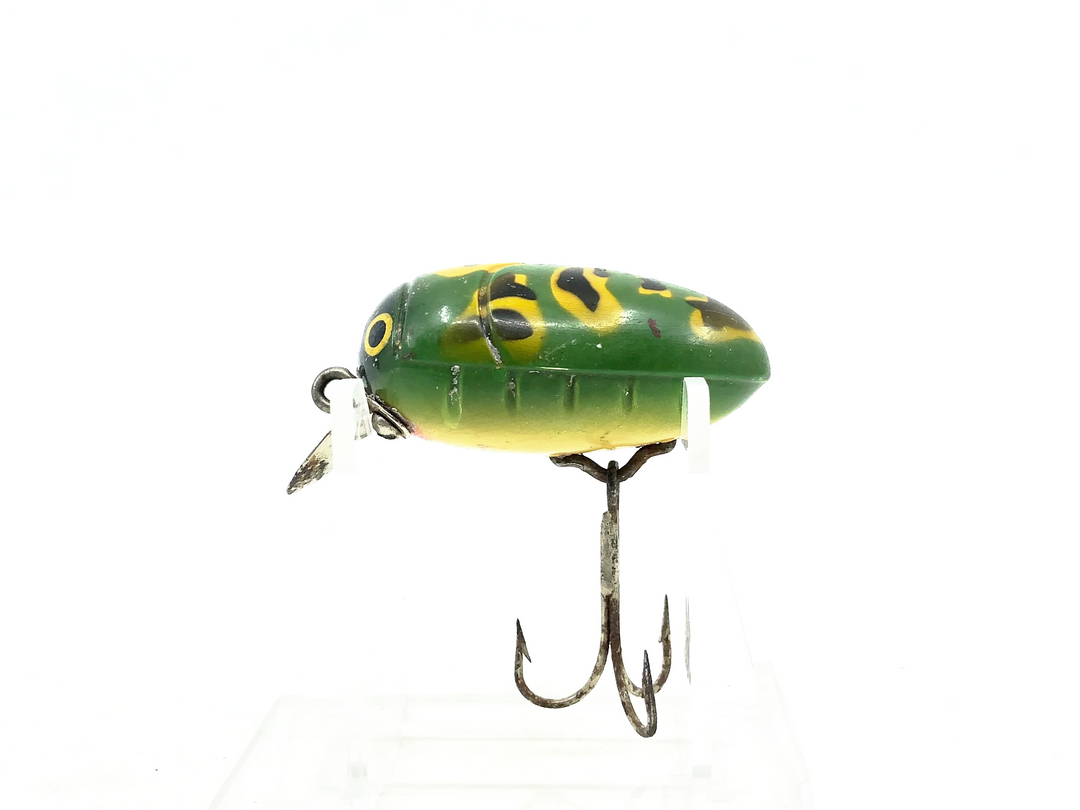 Millsite Rattle Bug, Frog Color