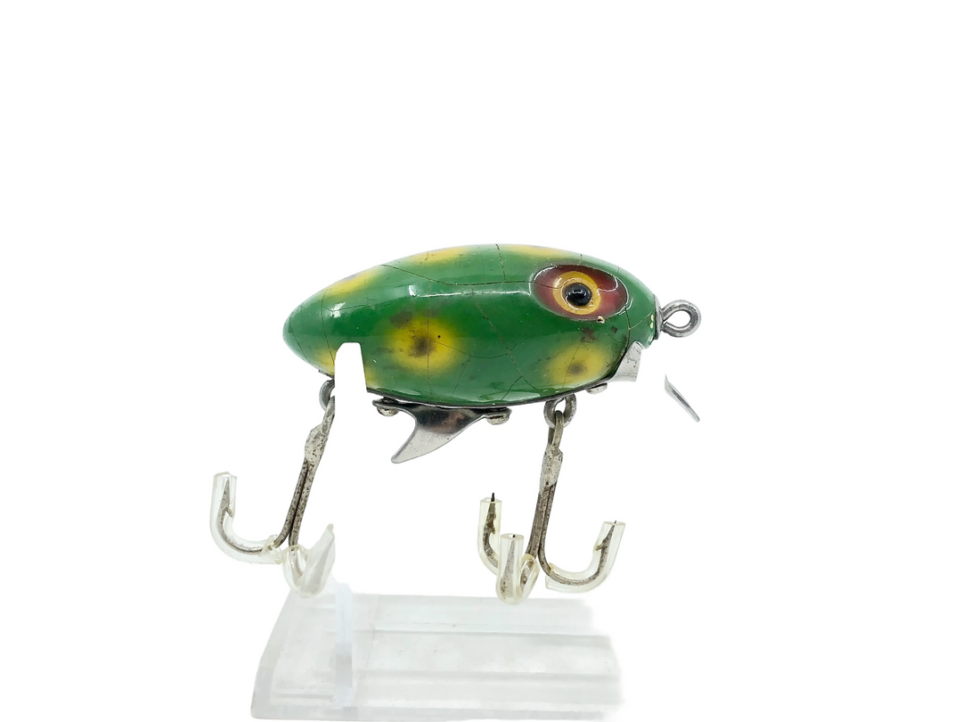 Clark's Water Scout, Frog Color