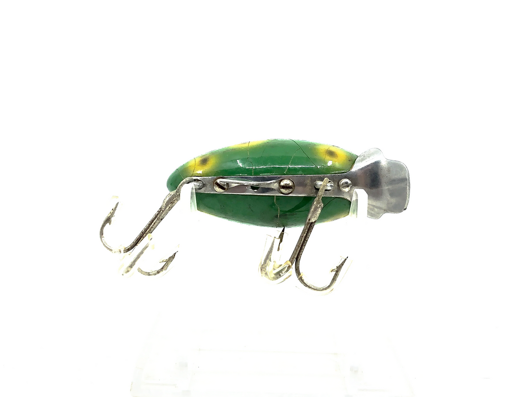 Clark's Water Scout, Frog Color