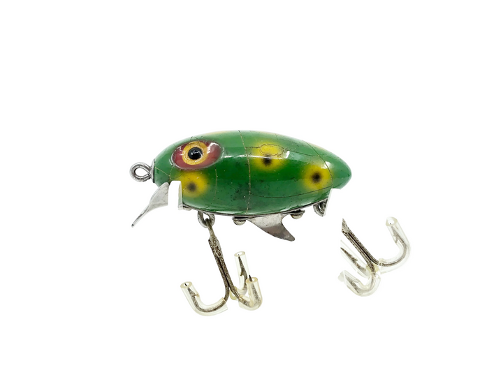 Clark's Water Scout, Frog Color