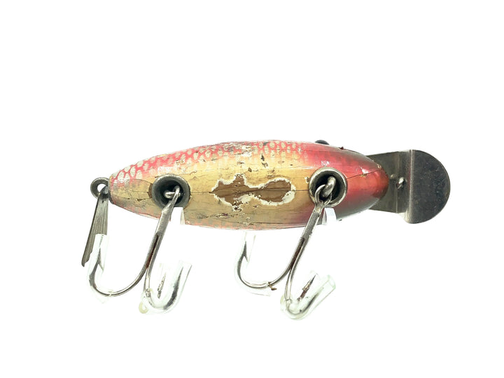 Creek Chub 800 Deluxe Wagtail Chub, #05 Dace Color-Early Version