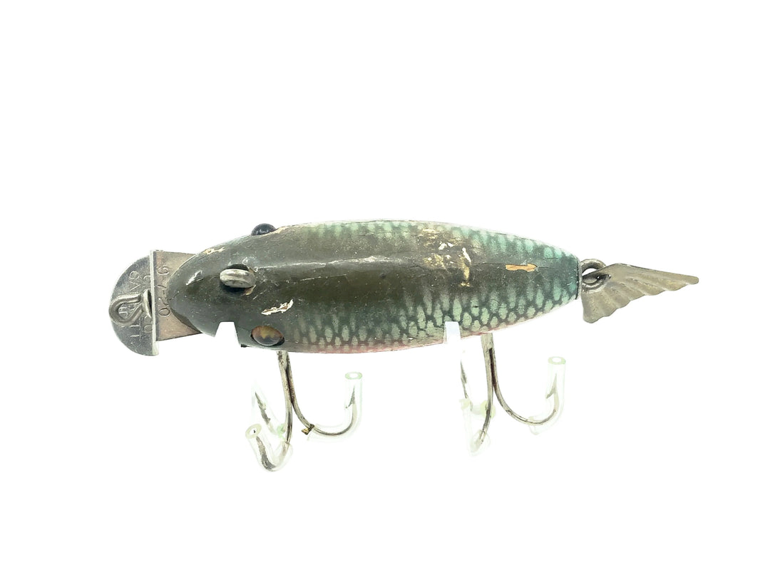 Creek Chub 800 Deluxe Wagtail Chub, #05 Dace Color-Early Version
