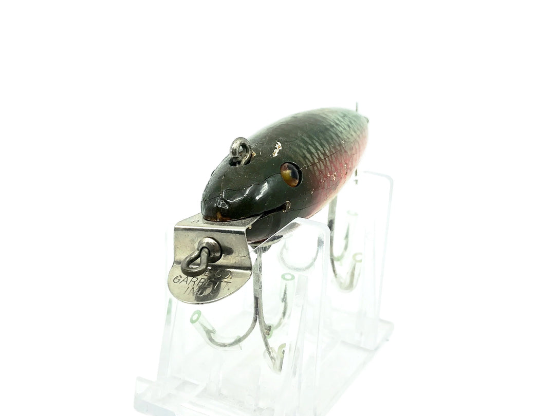 Creek Chub 800 Deluxe Wagtail Chub, #05 Dace Color-Early Version