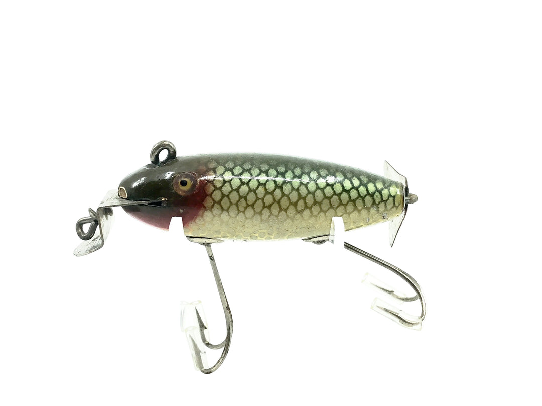 Creek Chub 800 Deluxe Wagtail Chub, #00 Natural Chub Color-Early Version