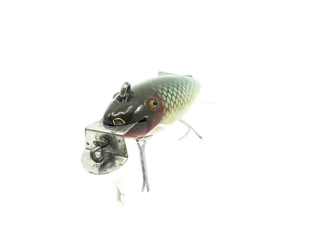 Creek Chub 800 Deluxe Wagtail Chub, #00 Natural Chub Color-Early Version