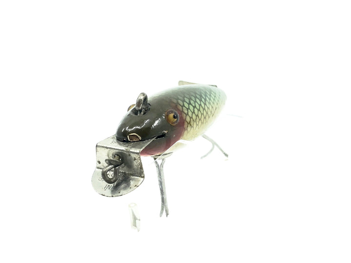 Creek Chub 800 Deluxe Wagtail Chub, #00 Natural Chub Color-Early Version