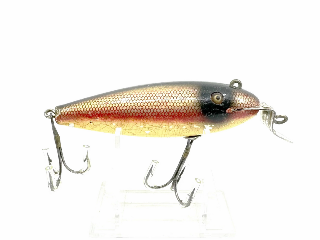 Creek Chub 100 Wiggler, #05 Dace Color-Early Version