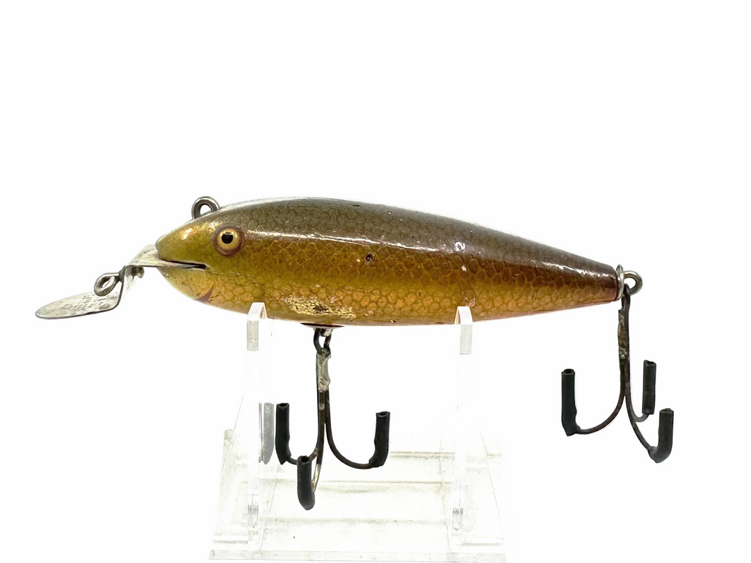 Creek Chub 100 Wiggler, #04 Golden Shiner Color-Early Version, Hand-Painted Gills