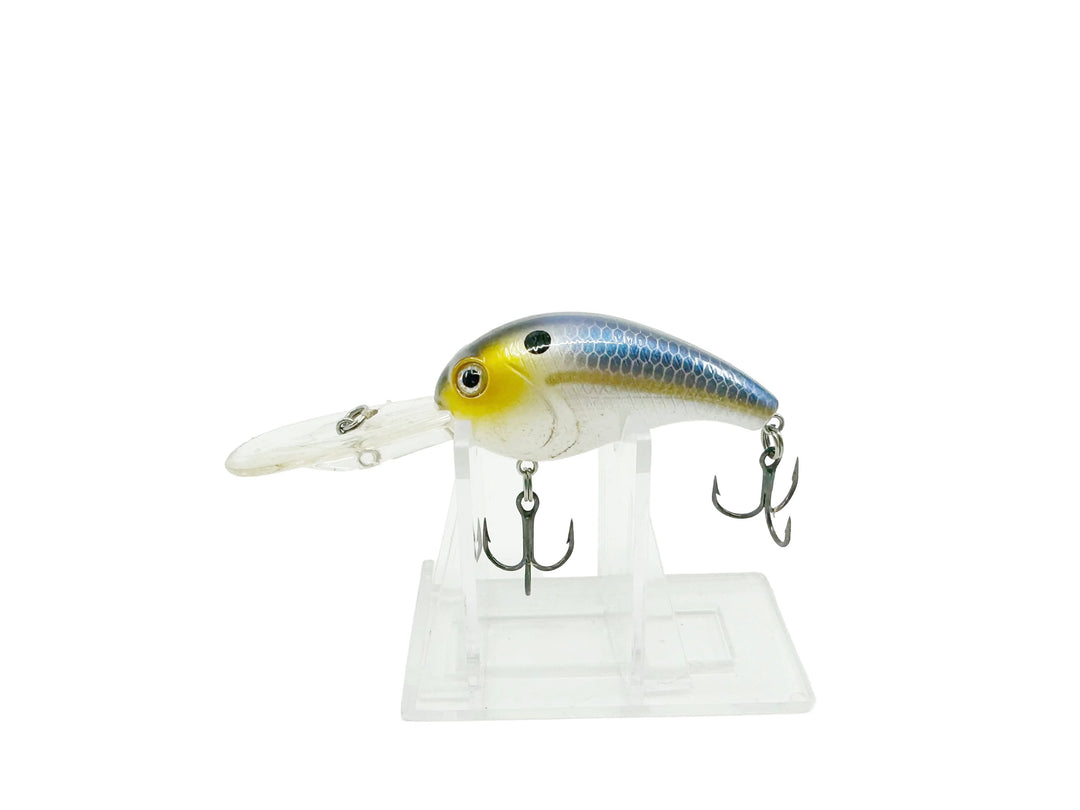 H2O Xpress Crankbait