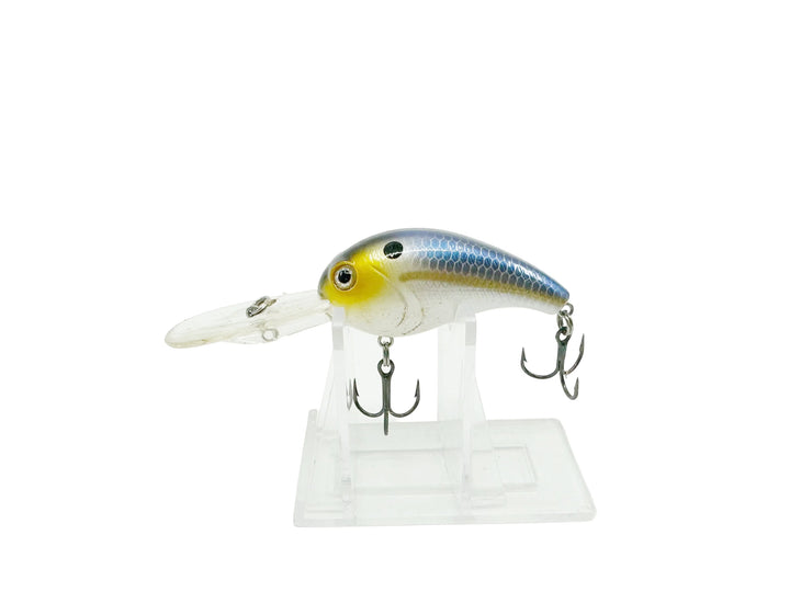 H2O Xpress Crankbait