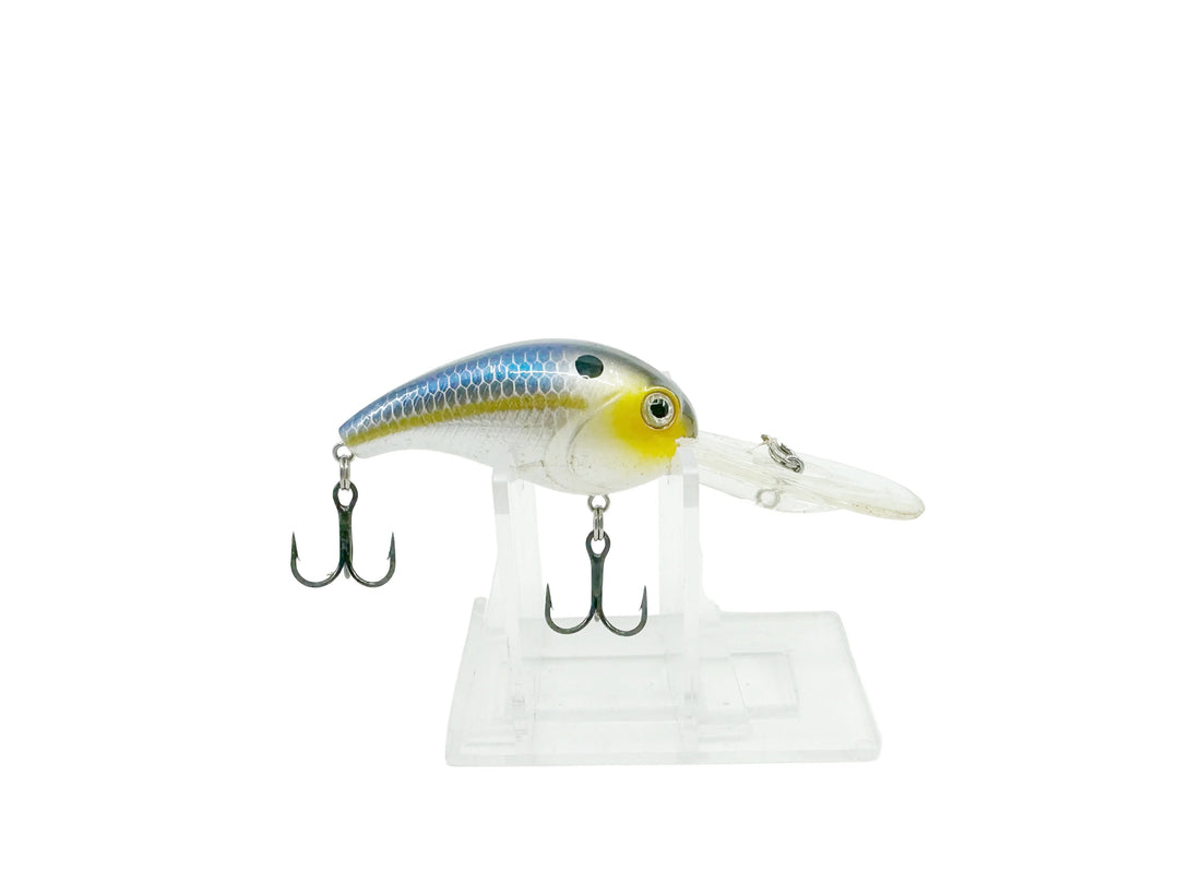 H2O Xpress Crankbait