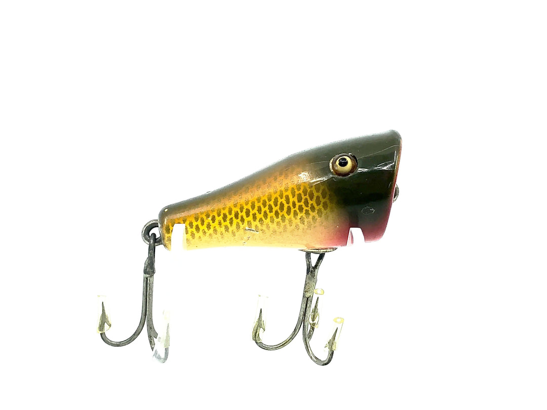 Creek Chub 5900 Midget Plunker, #04 Golden Shiner Color 5904