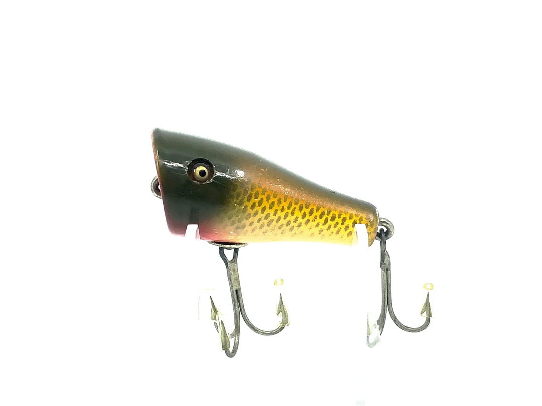 Creek Chub 5900 Midget Plunker, #04 Golden Shiner Color 5904