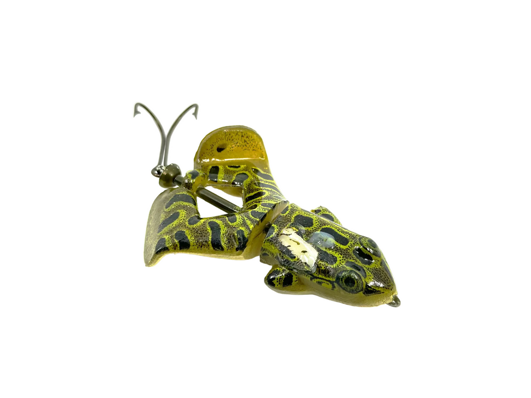 Rebel Buzz'n Frog, Northern Leopard Frog Color
