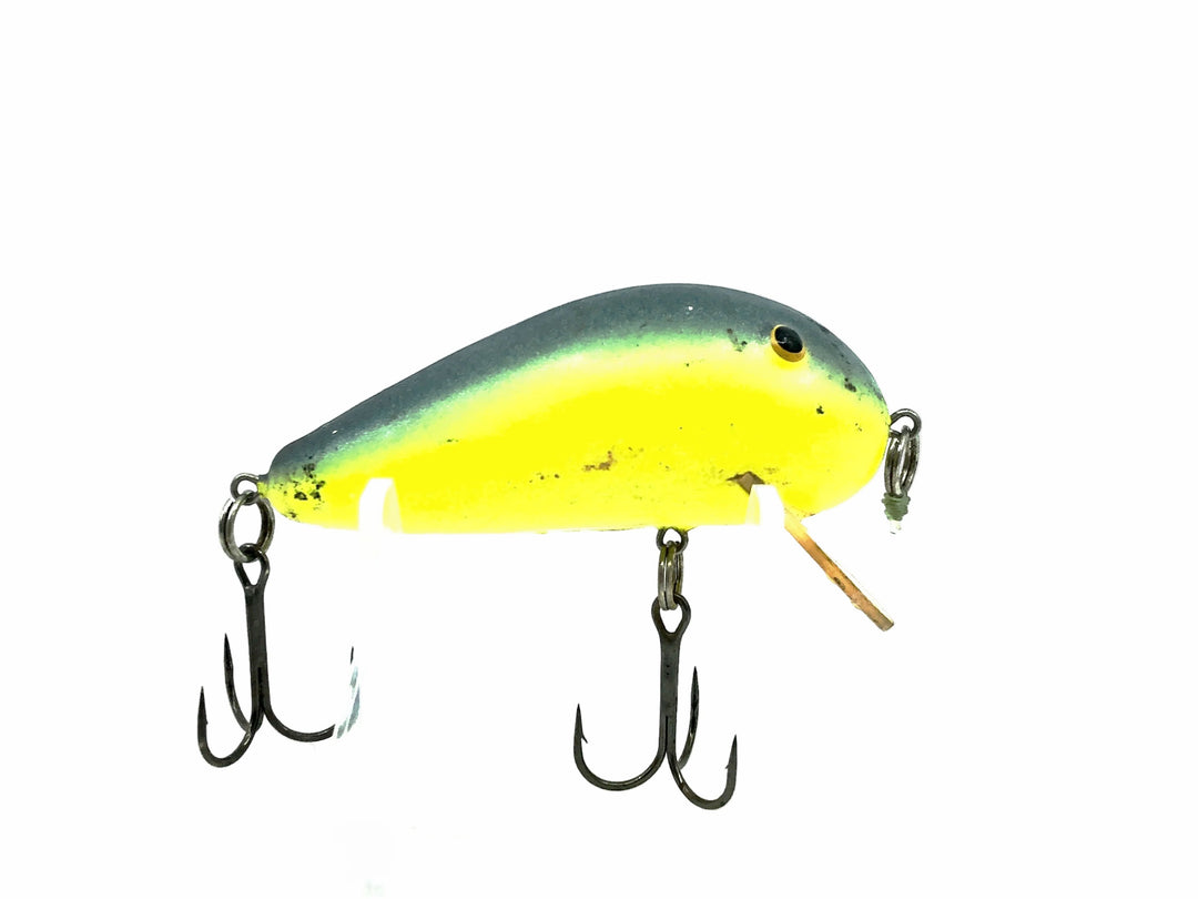 Bill Norman Wake, #81 Chartreuse/Blue Back Color