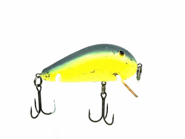 Bill Norman Wake, #81 Chartreuse/Blue Back Color