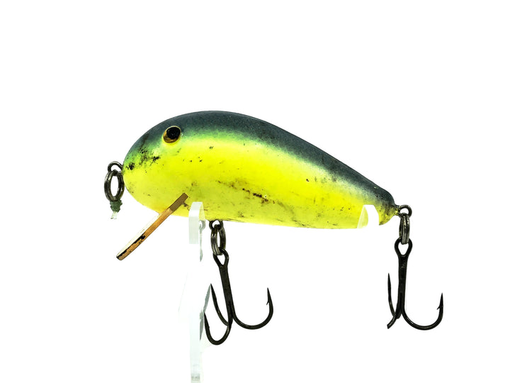 Bill Norman Wake, #81 Chartreuse/Blue Back Color