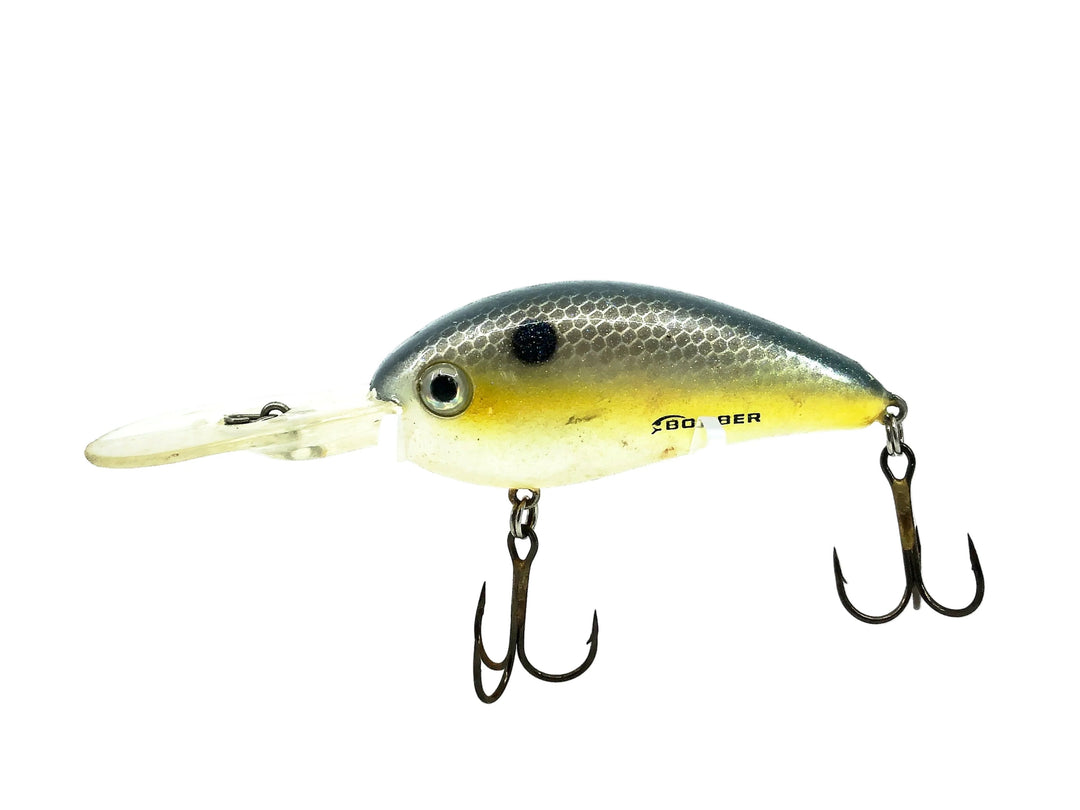 Bomber Tim Horton's Switchback Shad BTSD6, Foxy Shad Color