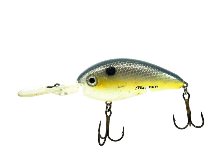 Bomber Tim Horton's Switchback Shad BTSD6, Foxy Shad Color