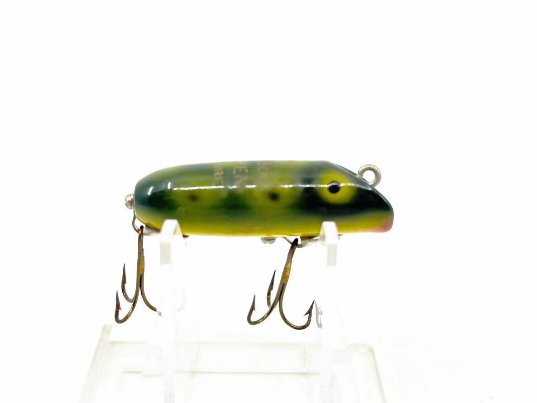 South Bend Spin-Oreno, FR Frog Color