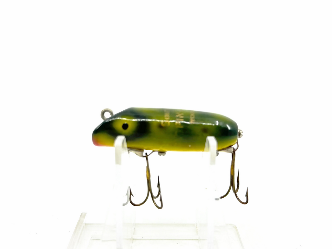 South Bend Spin-Oreno, FR Frog Color