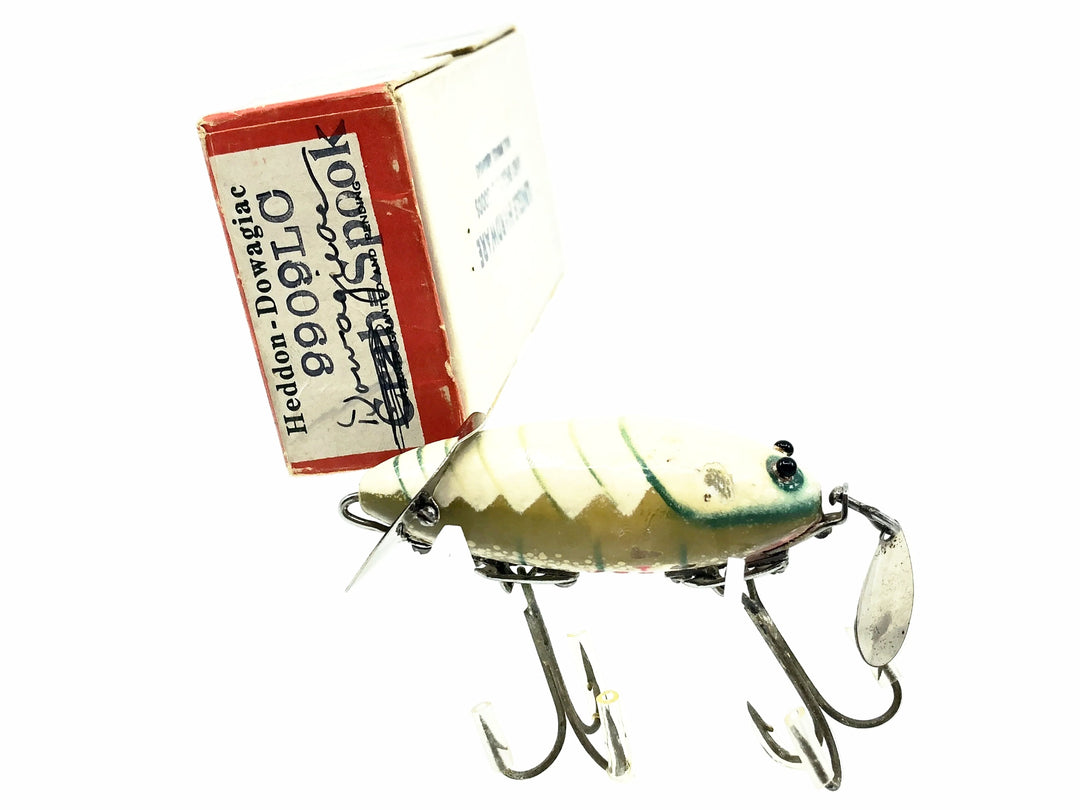 Heddon 9900 Crab Spook, 9LC Luminous Crab Color w/Box