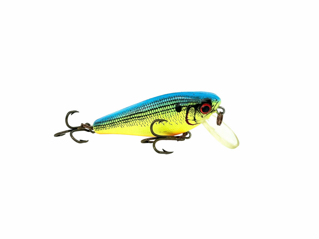 Cotton Cordell C.C Wee Shad C11, #79 Blue/Chartreuse/Orange Color