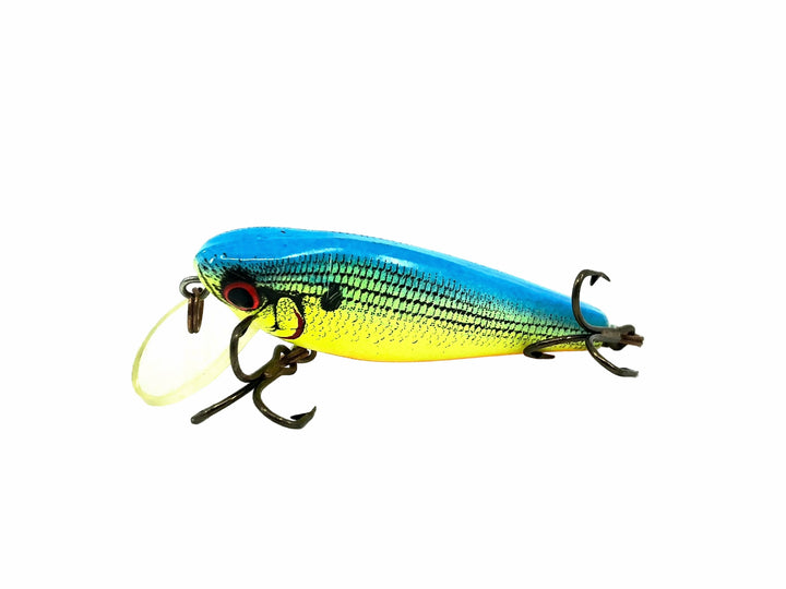 Cotton Cordell C.C Wee Shad C11, #79 Blue/Chartreuse/Orange Color