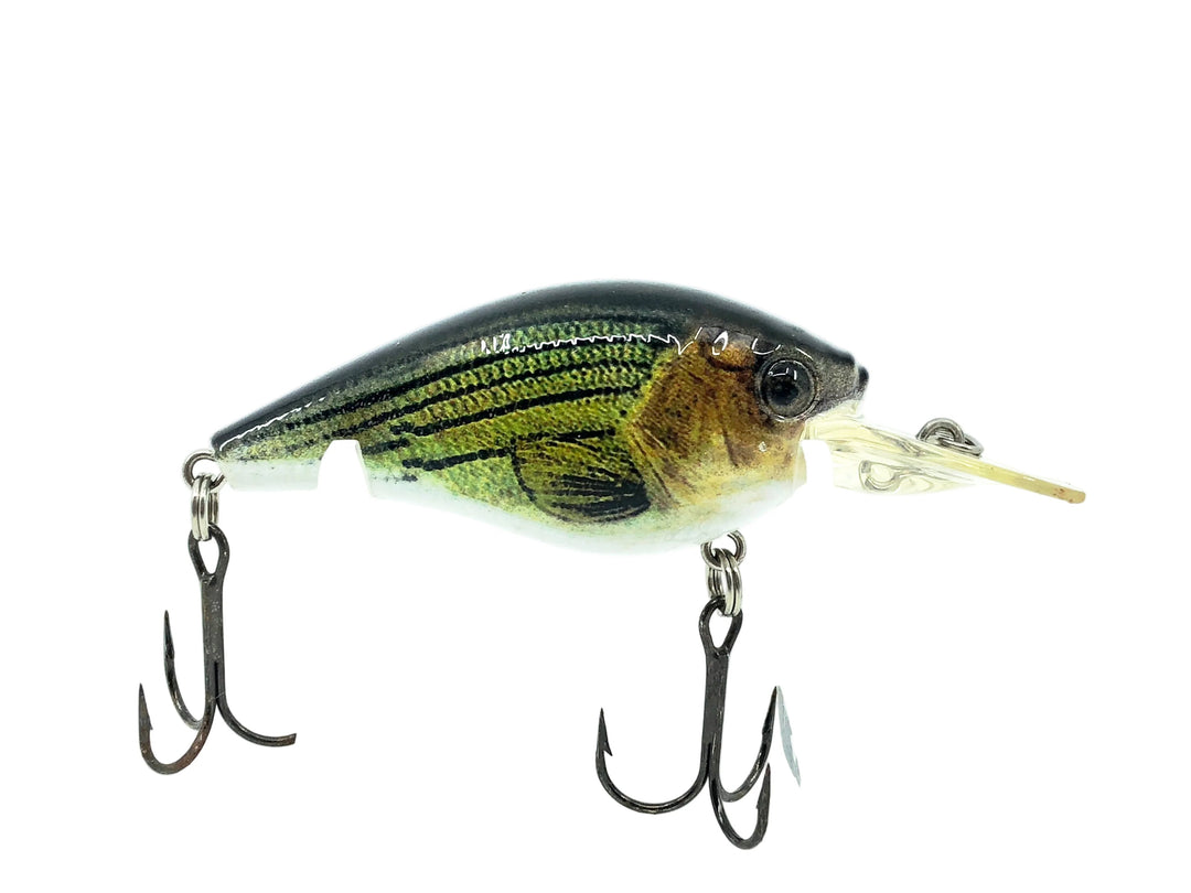 H2O Xpress Medium Diving Crankbait, Bass Color