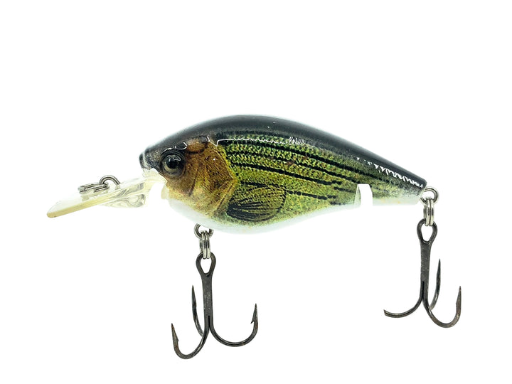 H2O Xpress Medium Diving Crankbait, Bass Color