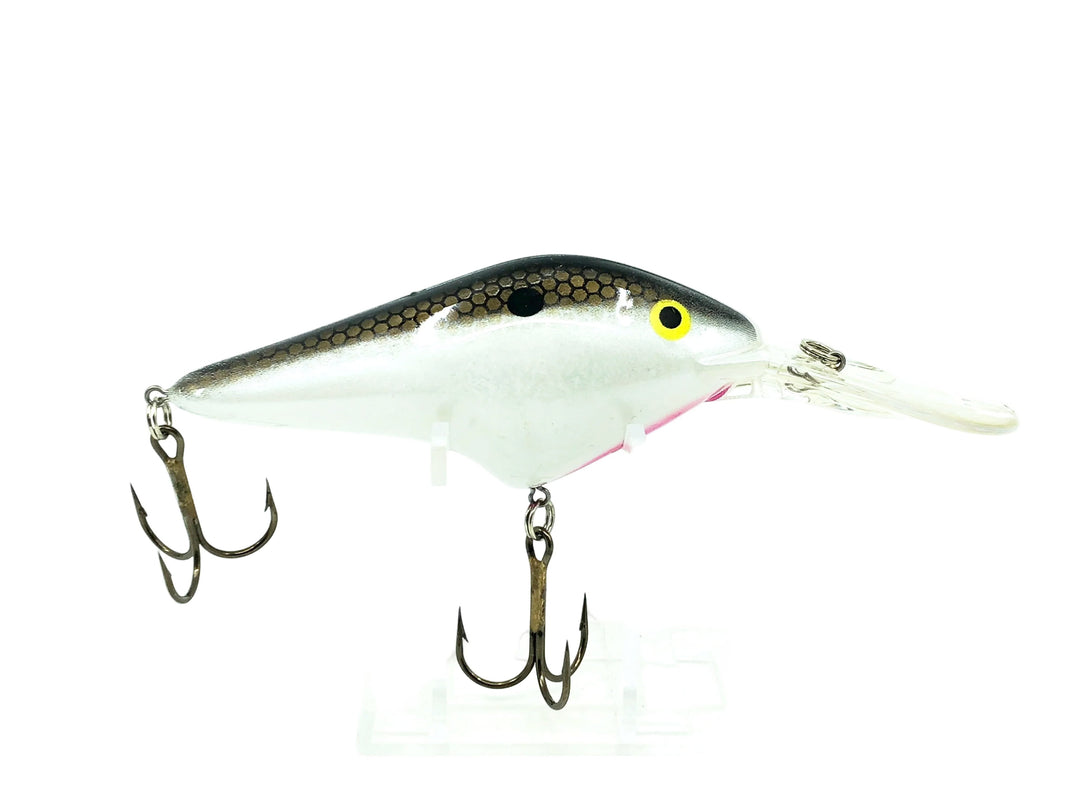 Berkley Frenzy Deep Diver, Tennessee Shad Color