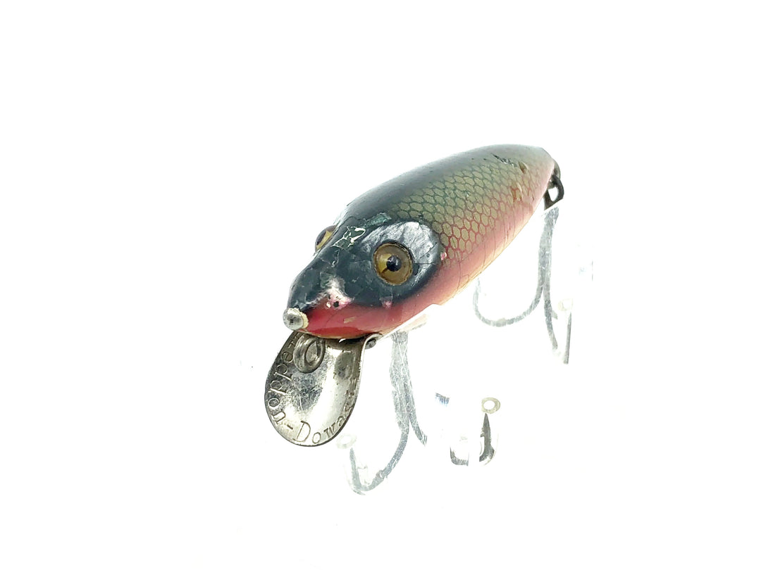 Heddon Wooden River Runt 110, 9N Dace Color - L-Rig
