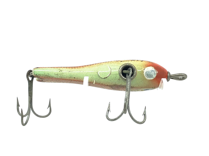 Shakespeare Sea Witch, Goldfish Scale Color