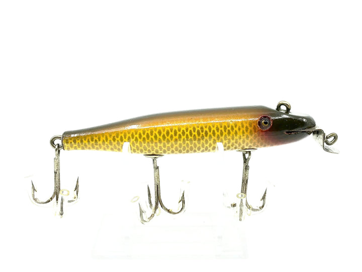 Creek Chub 700 Pikie, 704 Golden Shiner Color - DLT, Early Body, Mint Condition!