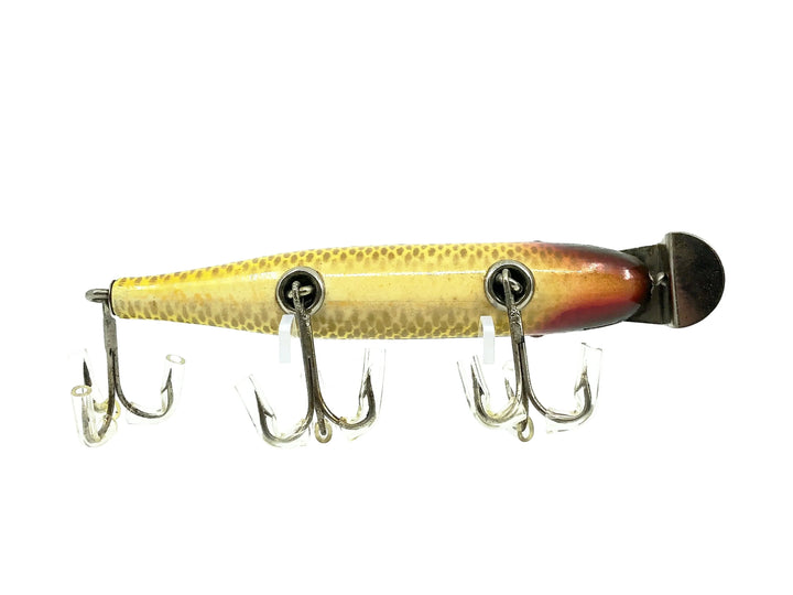 Creek Chub 700 Pikie, 704 Golden Shiner Color - DLT, Early Body, Mint Condition!