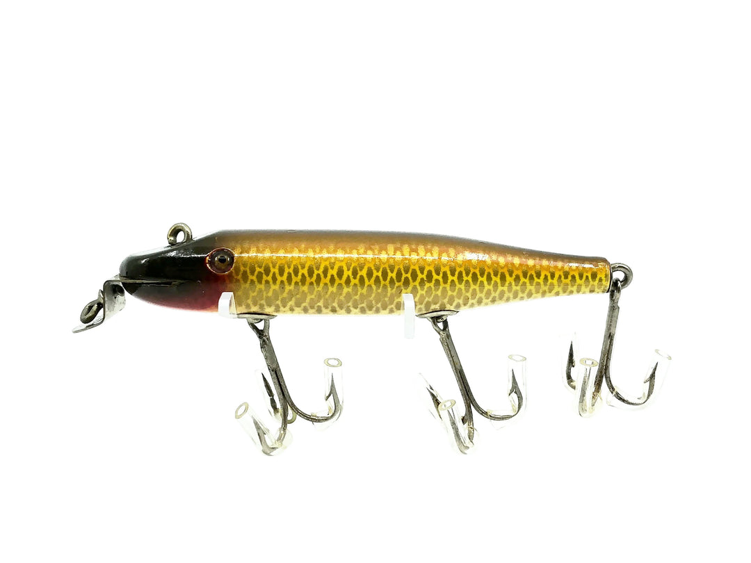 Creek Chub 700 Pikie, 704 Golden Shiner Color - DLT, Early Body, Mint Condition!