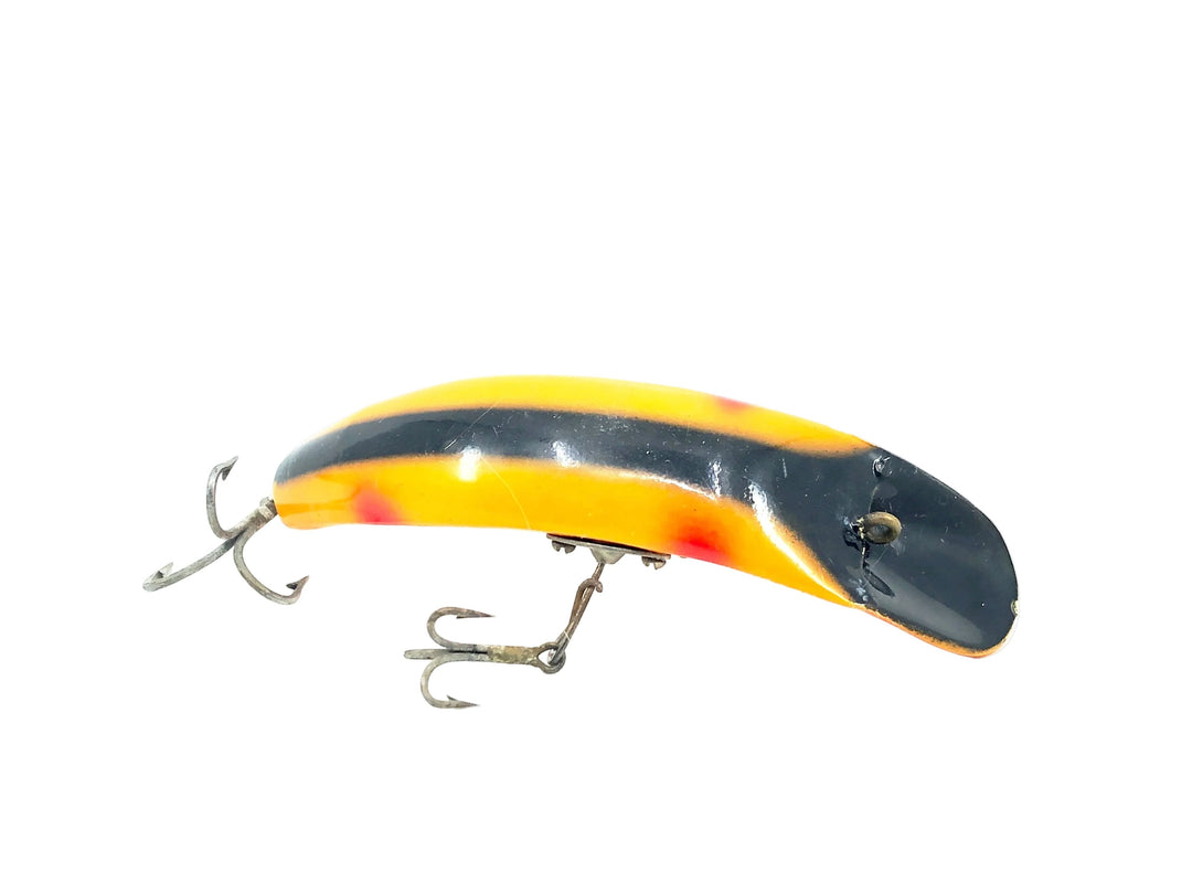 Paw Paw Flapjack, Orange/Red Tip/Black Back Color