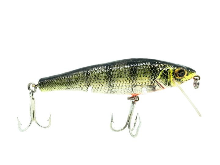 Bagley Small Fry Perch P4, Perch on White Color
